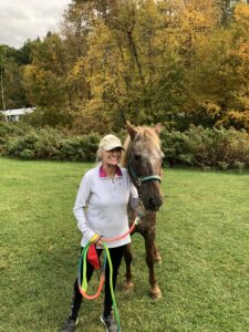 the dog who danced a novel susan wilson