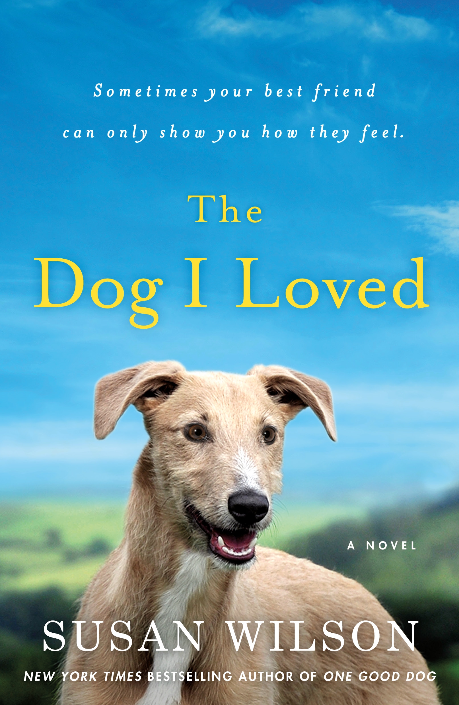 The dog deals i loved